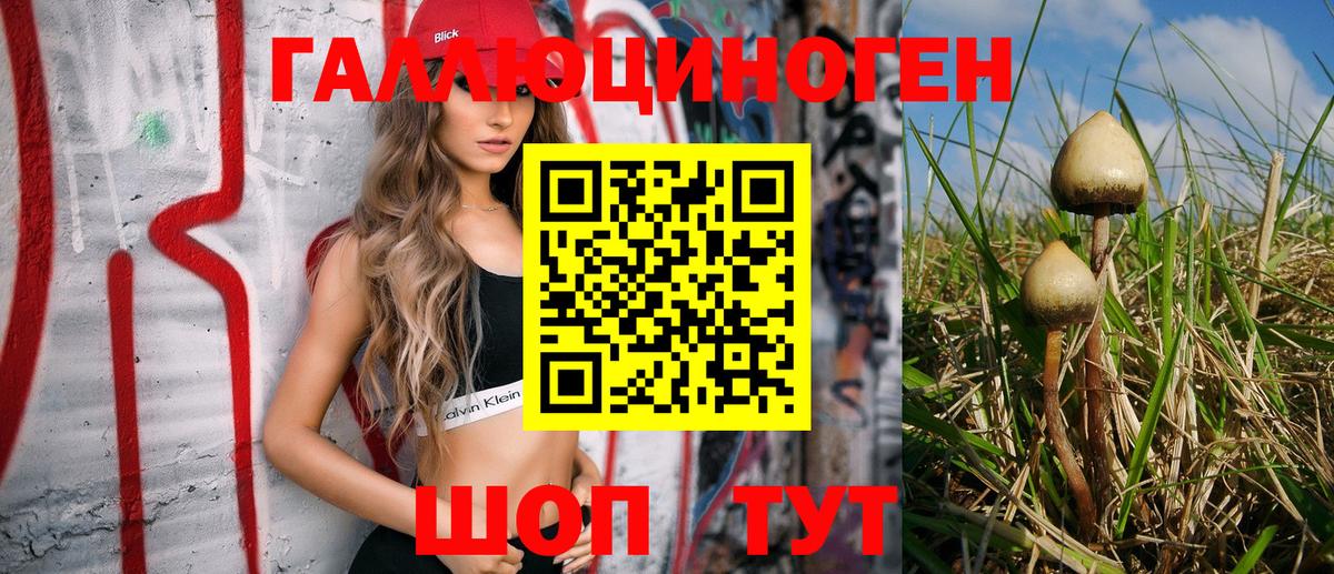 Новотроицк  закладка  Вход с VPN  Галлюциногенные грибы Psilocybine cubensis 